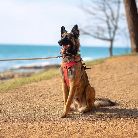 Val Piana Дом отдыха *